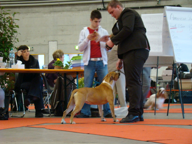 Class is finaly there of Walker red kennel