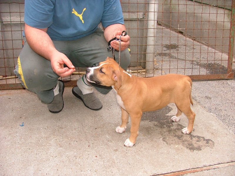 Class is finaly there of Walker red kennel