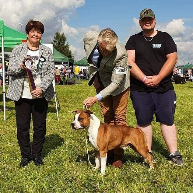 CH. Ring on fire peanut big come back of Walker red kennel