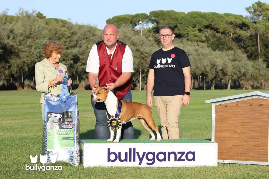 CH. Thotentik slamdunk shayness of Walker red kennel