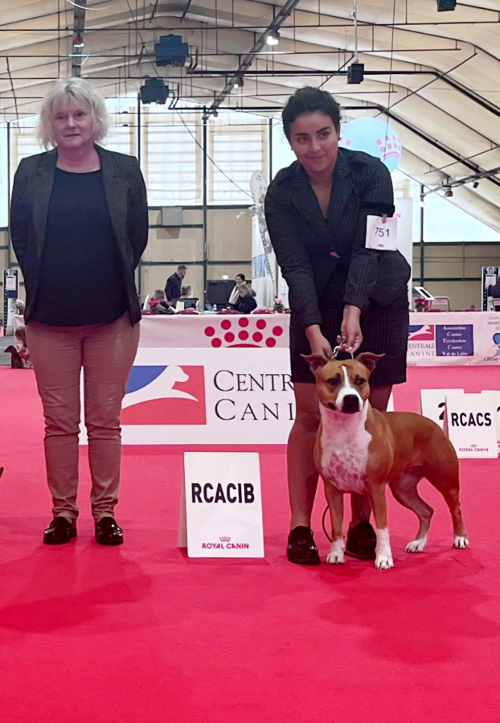 They love freedom khayliah of Walker red kennel